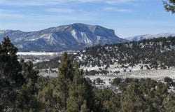 Road 41.4, Mancos, CO 81328