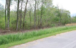 66 51st Avenue, Gruetli Laager, TN 37339