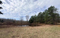 72 off OCR 159, Fremont, MO 63941