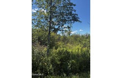 Duane Drive, Johnstown, NY 12095
