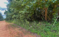 0 County Road 81, Tuskegee, AL 36083