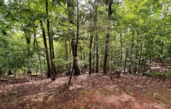 16086 Heron Run Drive, Fort Mill, SC 29708