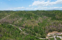9999 Buzzard Road, Manchester, KY 40962