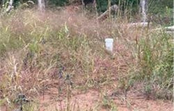 21030 Cemetery Road, Anderson Twp, WI 54840