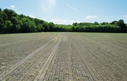 001 Old River Rd, America, IL 62996