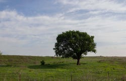Tract C E 4500 Road, Morrison, OK 73061