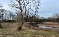10 Brian Drive, Nashville, AR 71852