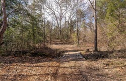 Tbd Stevens Road, Marietta, TX 75566