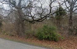 1114 Owhyhe Road, Tool, TX 75143