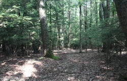 Turkey Ridge Dr 12, Kunkletown, PA 18058