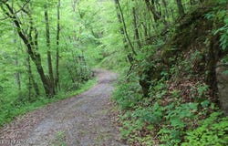 Leatherwood Rd, Sevierville, TN 37876