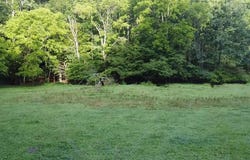 25 Acs Jubal Early Highway, Boones Mill, VA 24065