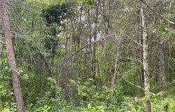 Lot 4 Patriot Ave, Pequot Lakes, MN 56472