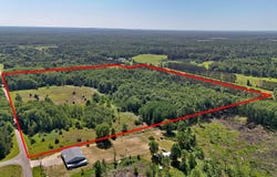 52 Acres Tannerville Road, Kaleva, MI 49645