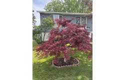 219 S Olson St, Kennewick, WA 99336