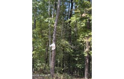 1d Gelding Gap Lane, Carthage, NC 28327