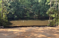 Cardinal Drive, Trenton, SC 29847