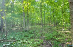 140 Ben Johnson Road, Pulaski, TN 38478