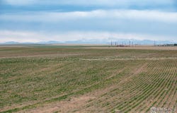 Lot 14 144TH Ave, Bennett, CO 80102