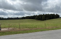 1120 Pleasant Ridge Road, Finger, TN 38334