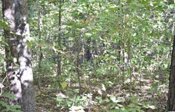 lot 24 GLADYS DRIVE, LAKEVIEW, AL 35111