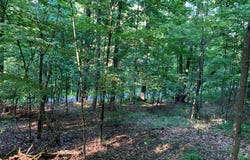 OLD HANCOCK ROAD, CUMBERLAND, MD 21502