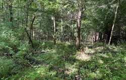 Jollytown Road, Hinsdale, NY 14743