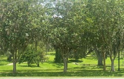 901 SW 7TH STREET, OCALA, FL 34471
