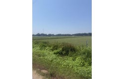 Steed Road, Bradford, AR 72120-0000