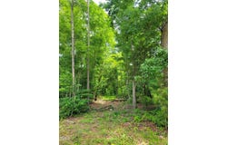 0 Major Hill Road, Snow Camp, NC 27349