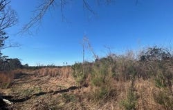 Robert Jones Road, Summit, MS 39666