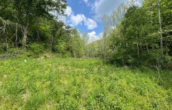 0 Rush Run, Normantown, WV 25267