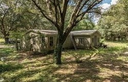 2946 SE 21st Avenue, Sumterville, FL 33585