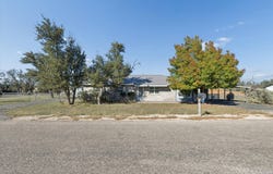 92 Turkey, Harper, TX 78631