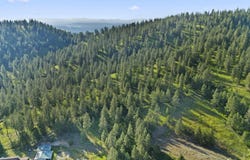 15xxx N Scribner Branch Rd, Spokane, WA 99217