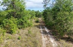 Vacant NE Cedar Trail, Pinetta, FL 32350