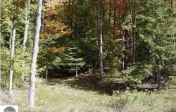 VL#7 Timber Valley Court, Kewadin, MI 49648