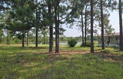 46 Tony Baker Lane, Garfield, GA 30425