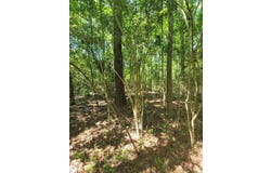 0 S State Highway 27, Geneva, AL 36340