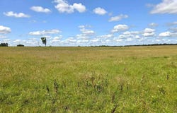 E 134 Road, Holdenville, OK 74848