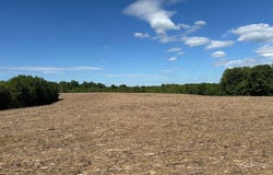 1 Hwy 1547, Liberty, KY 42539