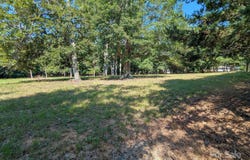 0000 Tract #1A Roddey Road, Catawba, SC 29704