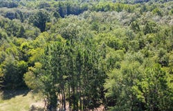 288 Peeler Road, Gaston, SC 29053