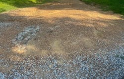 196 Pleasant Hill Road, Nesbit, MS 38651