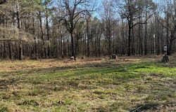 Eckert Lane, Hooks, TX 75561