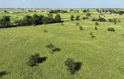 Block 2 Lot 1 Hackberry Road, Salado, TX 76571