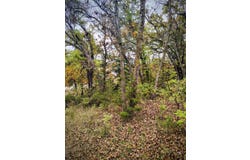 292nd Street, Redding, IA 50860