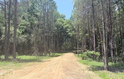 468 Smith County Road 150-a, Morton, MS 39117