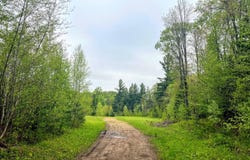 off Laplante Rd, Star Lake, NY 13690
