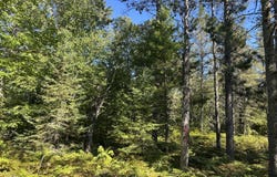 15796 N Whitefish Point Rd, Paradise, MI 49768